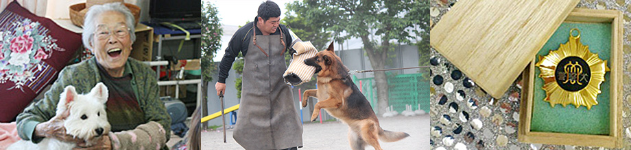 ドッグセラピーや警察犬