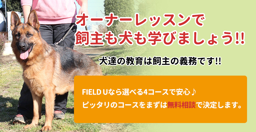 オーナーレッスンで飼主も犬も学びましょう！